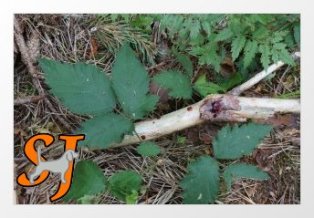 2012-07-07-S-021-314