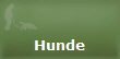 Hunde